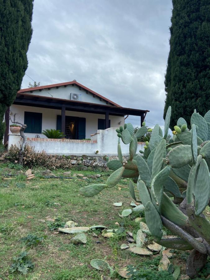 Villa Al Presti, Vacanze In Pieno Relax Cefalù Εξωτερικό φωτογραφία
