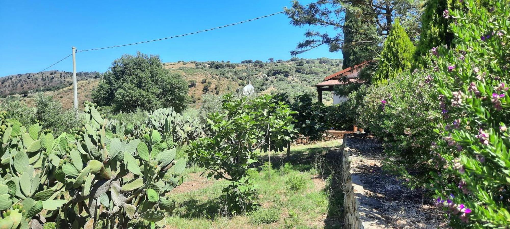 Villa Al Presti, Vacanze In Pieno Relax Cefalù Εξωτερικό φωτογραφία